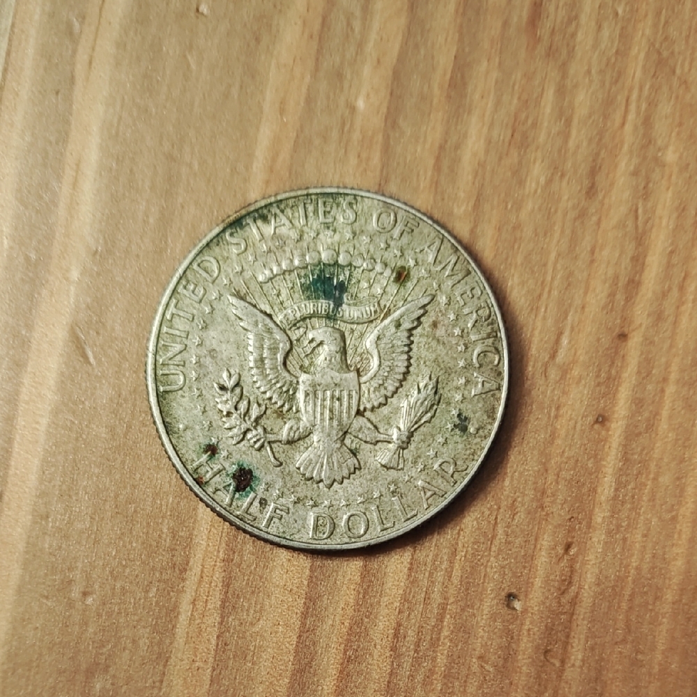 Silver Coin Accessory - Picture 2 of 2